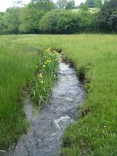 Ruisseau de la Rourie